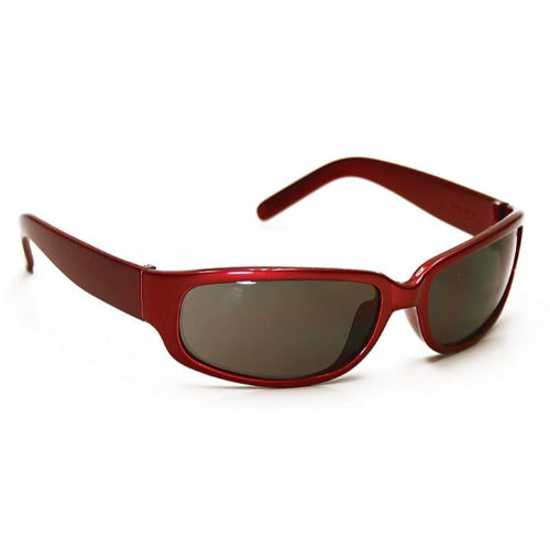 Legend Safety Glasses - Red Frame, Dark Lens, Anti Fog